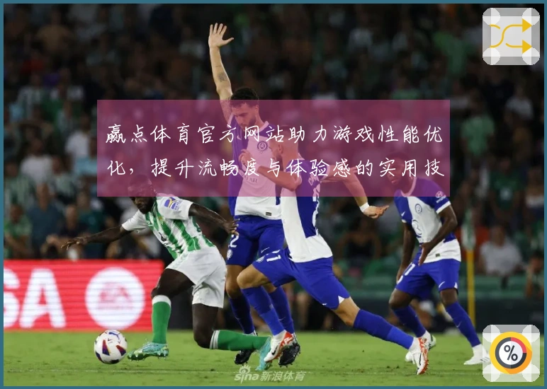 赢点体育官方网站助力游戏性能优化，提升流畅度与体验感的实用技巧分享