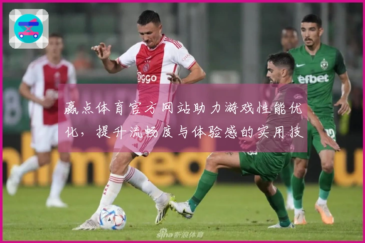 赢点体育官方网站助力游戏性能优化，提升流畅度与体验感的实用技巧分享